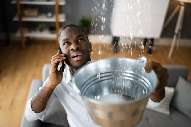 Best Carpet water damage restoration  in New California, OH