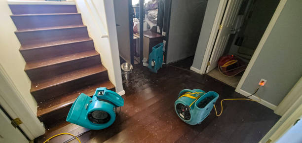 Best Water damage restoration specialists  in New California, OH