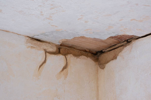 Water damage restoration mold remediation in New California, OH