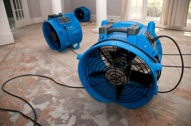 Best Flooded house restoration  in New California, OH