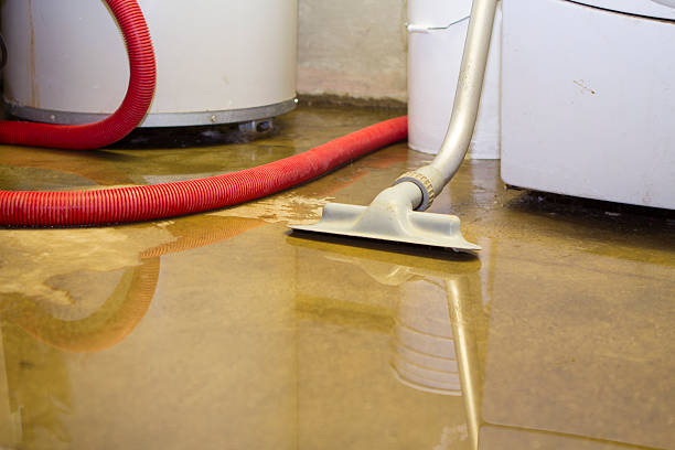 Reliable New California, OH Water damage restoration Solutions