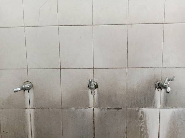 Best Water damage restoration near me  in New California, OH