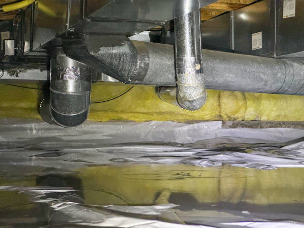 Best Ceiling water damage repair  in New California, OH