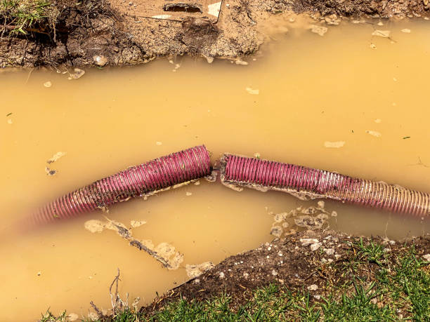 Best Water damage repair service  in New California, OH